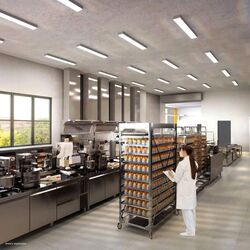 FOOD ASCENT (D22), Factory #639393621